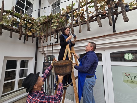 Prleška brotva 2025 (2)